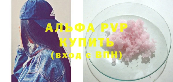 молекула духа Покров