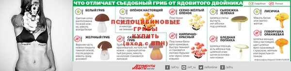 трава Покачи