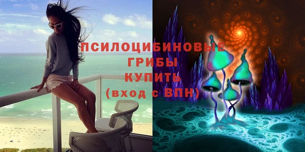 тгк Абинск