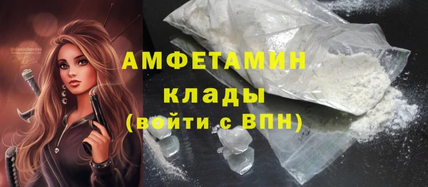 соль ск Каменка