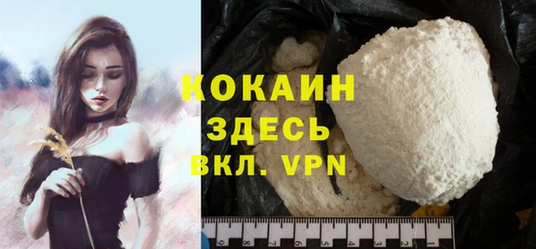 молекула духа Покров