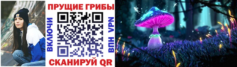 продажа наркотиков  KRAKEN ONION  Псилоцибиновые грибы ЛСД  Красновишерск 